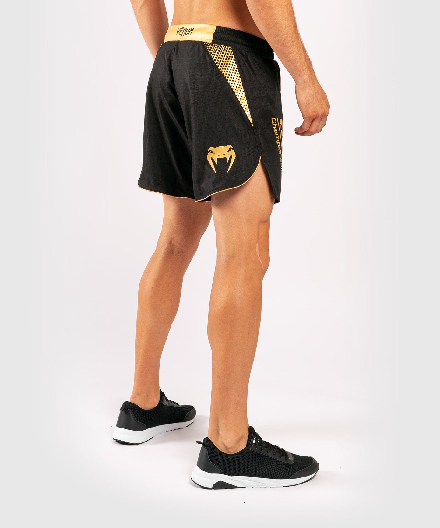 Venum x ONE FC Fightshorts