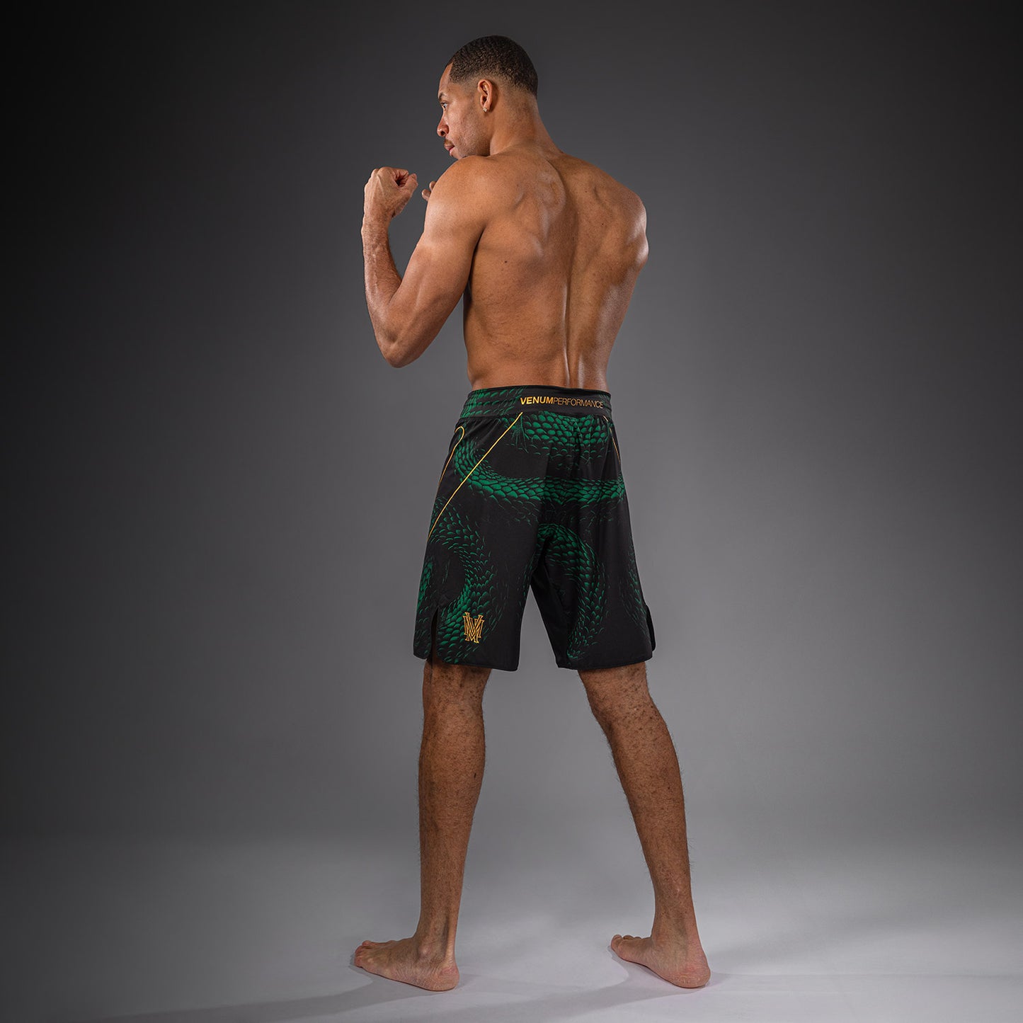 Venum Matupa Fightshorts - Black/Green/Gold