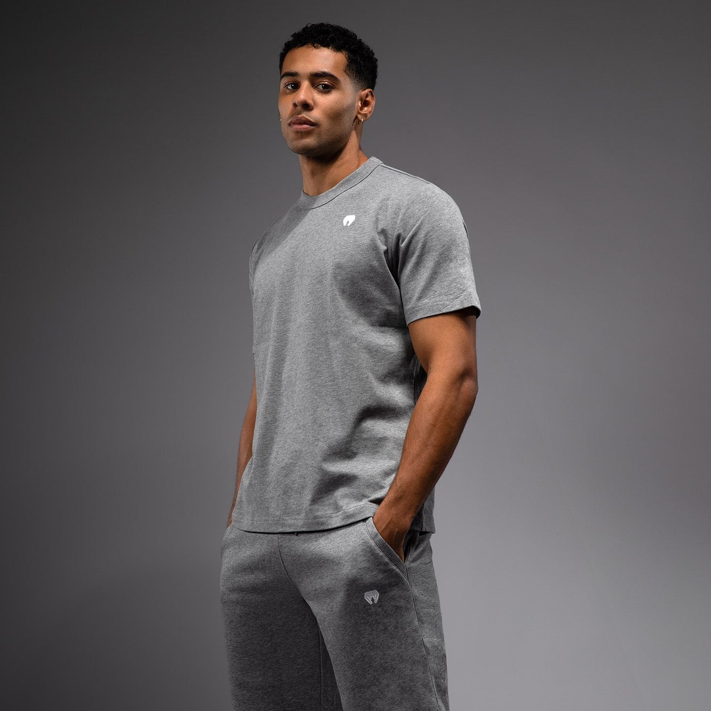 Venum Silent Power T-Shirt - Cloudy Grey