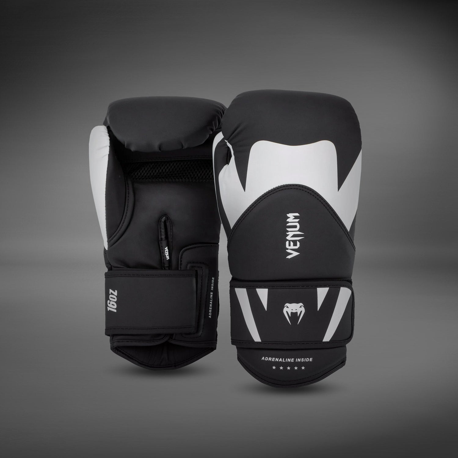 Cyber Monday - Boxing