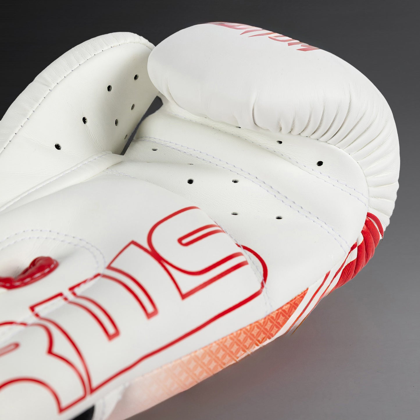 Venum x RWS 2.0 Boxing Gloves - White/Red