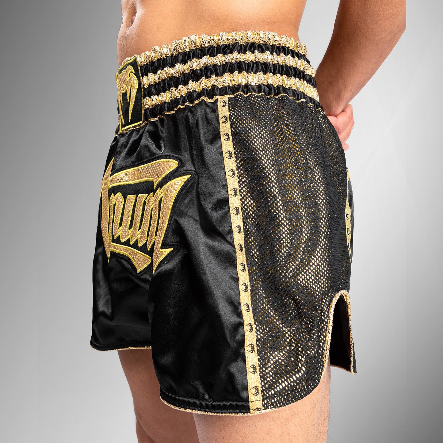 Venum Absolute 2.0 Muay Thai Shorts - Black/Gold