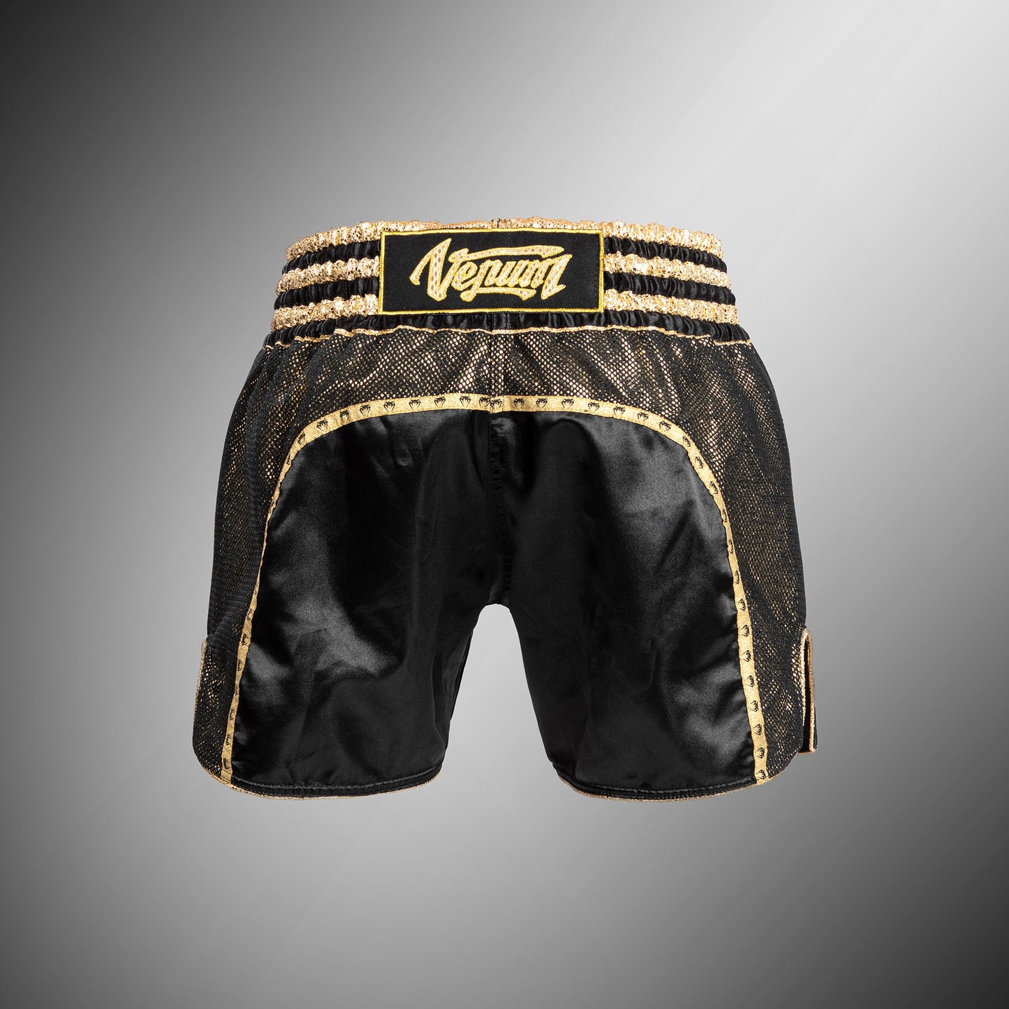 Venum Absolute 2.0 Muay Thai Shorts - Black/Gold