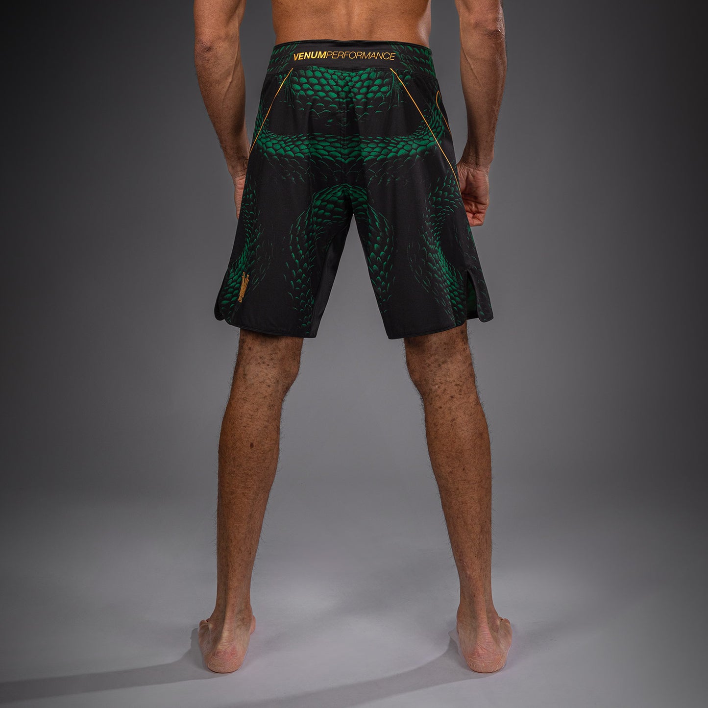Venum Matupa Fightshorts - Black/Green/Gold