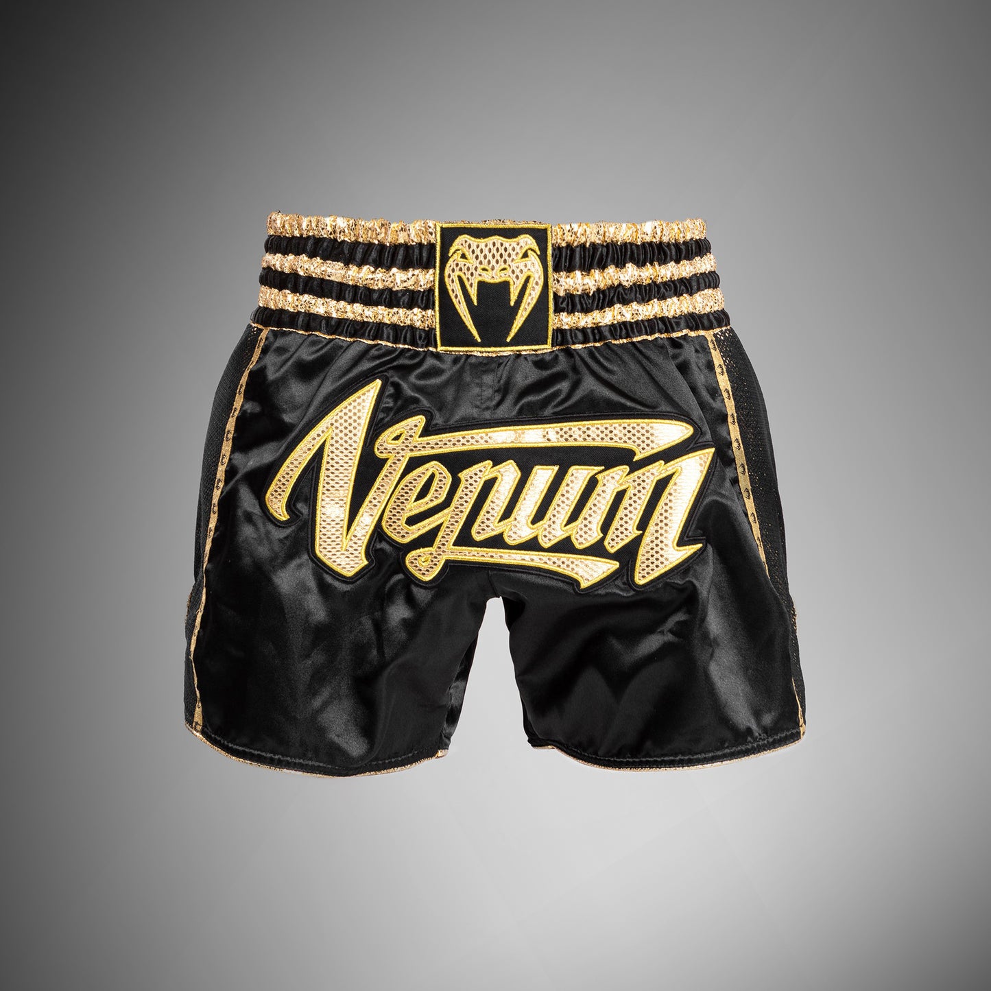 Venum Absolute 2.0 Muay Thai Shorts - Black/Gold