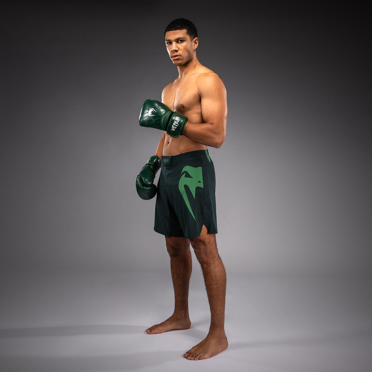 Venum Light 5.0 Fightshorts - Forest Green/Light Green  product-type_MMA Shorts Venum