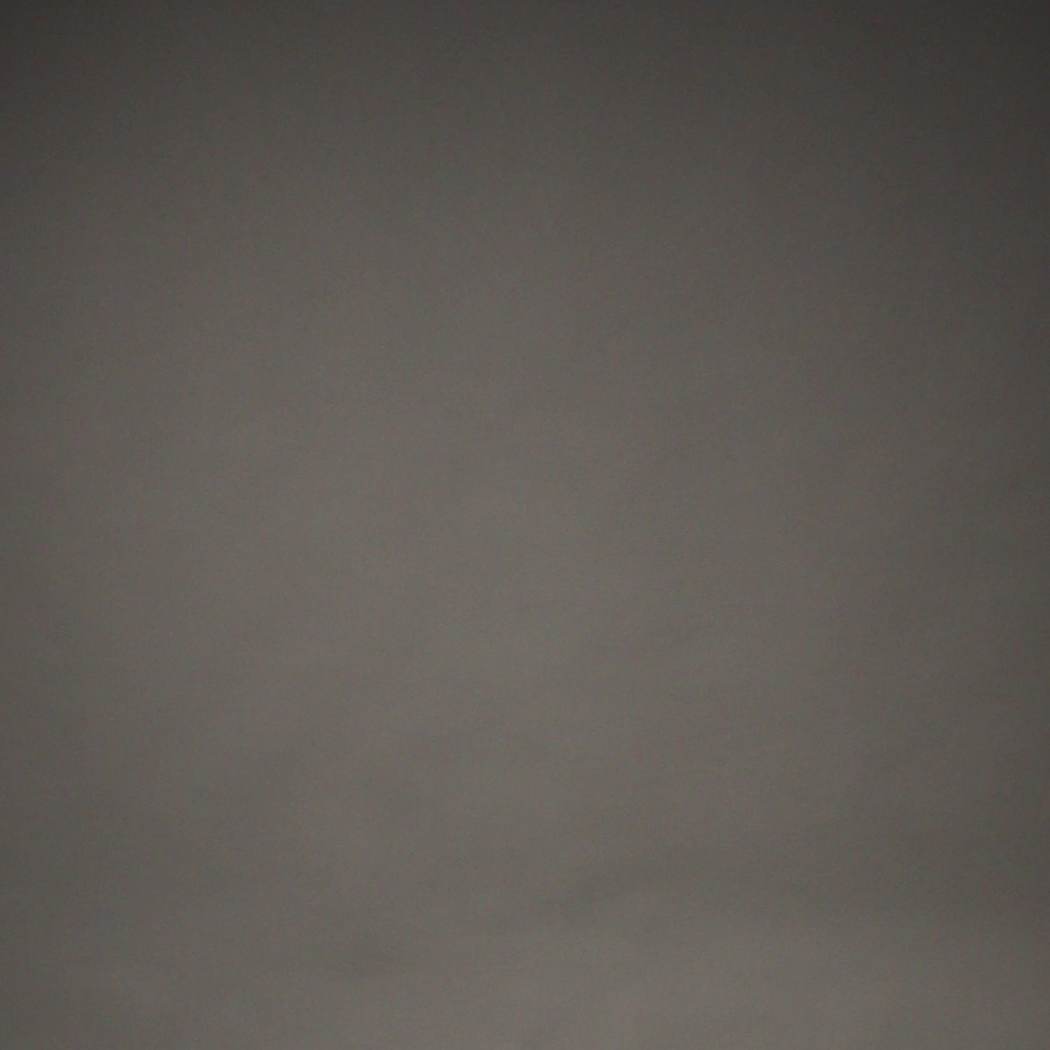 VENUM-06411-126