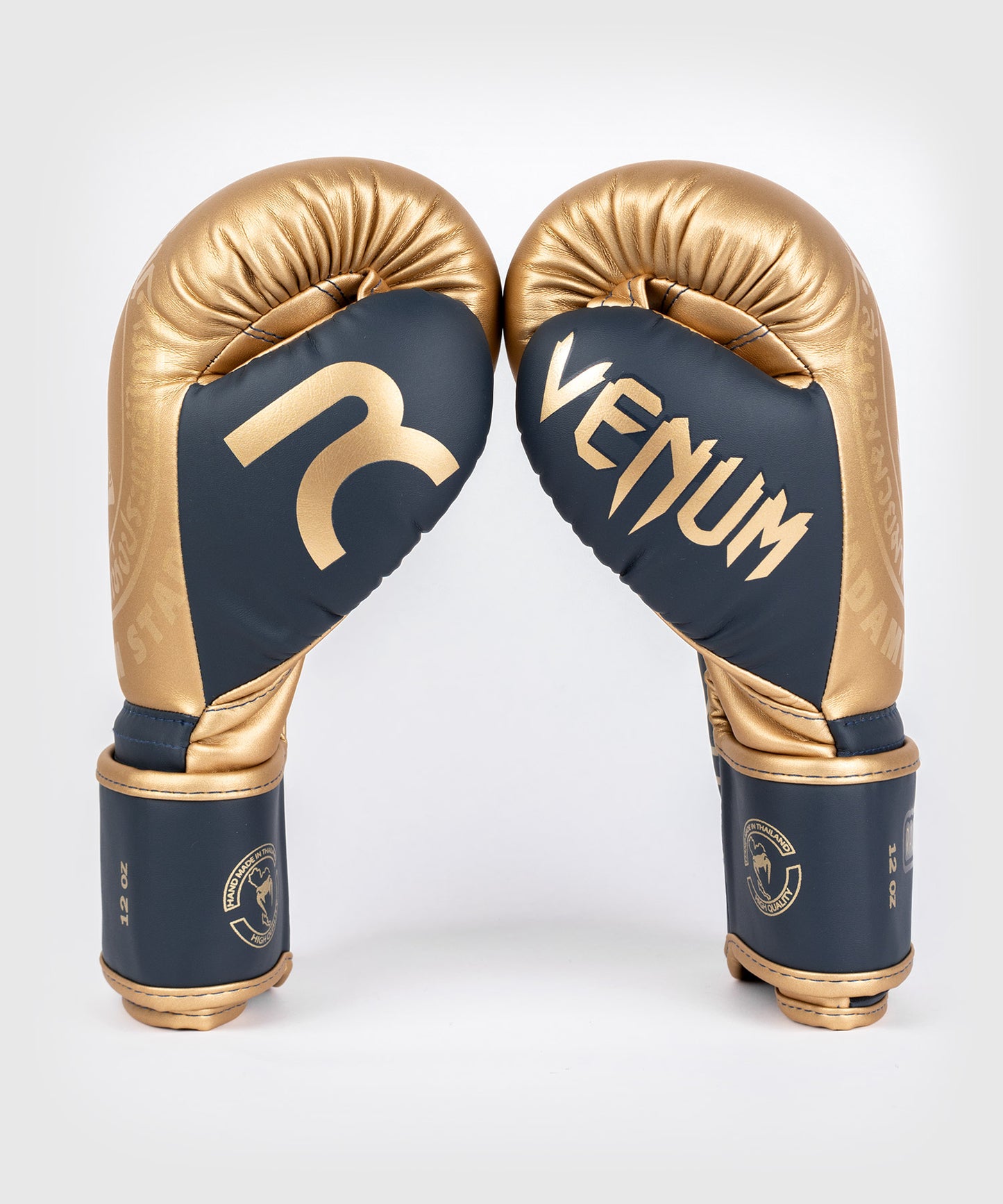 RAJADAMNERN x Venum Boxing Gloves - Sand