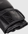 Venum Challenger 2.0 Boxing Gloves - Black/Black